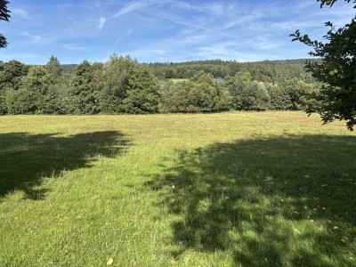 Flieden, Idylle pur, Zweifamilienhaus, 3.195 m² Grundstück