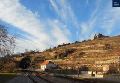 Gartenwohnung mit zauberhaftem Blick auf die Burgruine Dürnstein