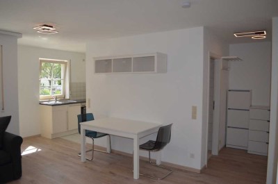 1,5-Zimmer Wohnung, EG, möbliert, TG-Stellplatz, Terasse und Zugang zum Garten in Heilbronn