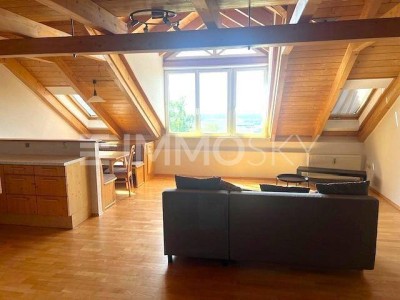 Single-Hit hoch über Feldkirchen a.d.D. - Traumaussicht!!!!