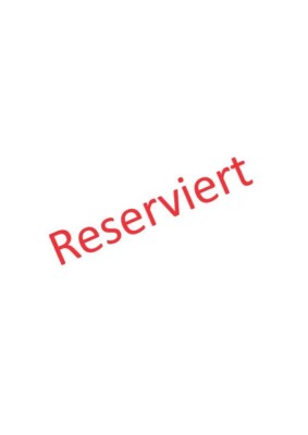 2-Raum-Wohnung mit rustikalem Flair, großer Terrasse und EBK direkt am Markt