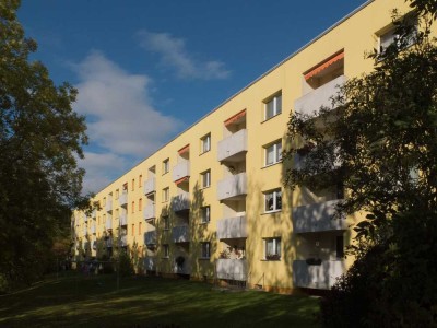 Neu renovierte Wohnung beim Theresienstein