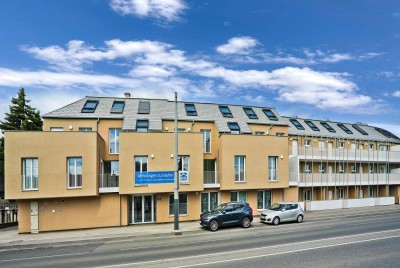 Am Bienefeld - Charmante 2-Zimmer-Wohnung mit Balkon – lichtdurchflutet und modern