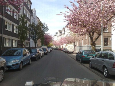 Ruhige, frisch renovierte 3 Zimmer Wohnung
