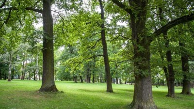 Individuelles Wohnen in parkähnlicher Lage in Erlenstegen