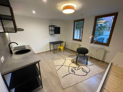 Komfortables 1-Zimmer-Apartment im Burgviertel!