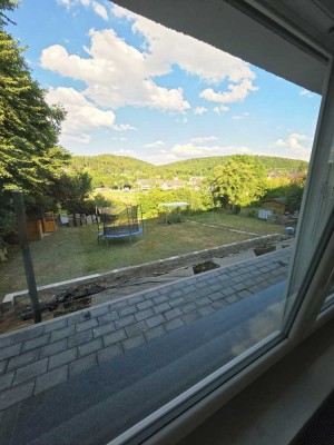 Renovierte Großzügige 2 Z. Wohnung zu vermieten