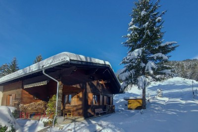 Ihr Rückzugsort in der Bergidylle -Ferienhaushälfte in Sibratsgfäll