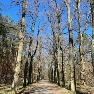Günstige 1-Raum Wohnung in Potsdam-West