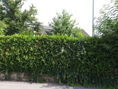 Ein Traum von Ruhe und Natur! 
Frei stehendes Einfamilienhaus auf 940 m² Grundstück