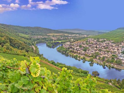 Urlaubstraum Mosel - Bernkastel-Kues: Schöne 2 Zi. Wohnung m. Terrasse & Loggia - gepflegte Wohnlage