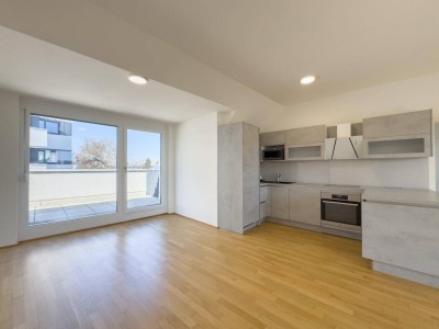 EXKLUSIVLAGE AN DER ALTEN DONAU - 3 Terrassen - Blick auf die Alte Donau