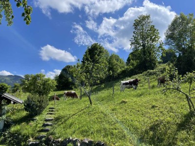 Neu renovierte 2,5-Zimmer-Dachgeschosswohnung mit Balkon in Bad Feilnbach.