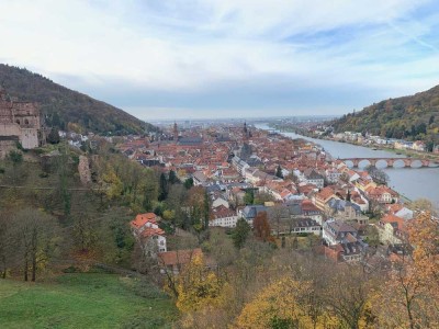 Die besondere Kapitalanlage in Heidelberg