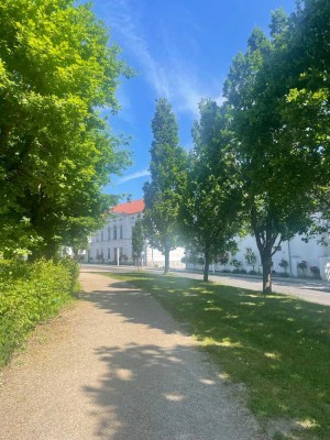 Zuhause in der Rosenstadt Putbus- Wohlfühloase mit zwei Zimmern