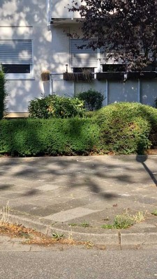 Lichtdurchflutete wunderbar gelegene 4-Zimmer-Wohnung in Friesenheim