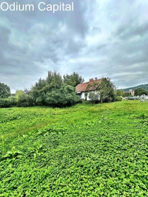 Weinheim- Haus mit mega Grundstück im Herzen der Stadt