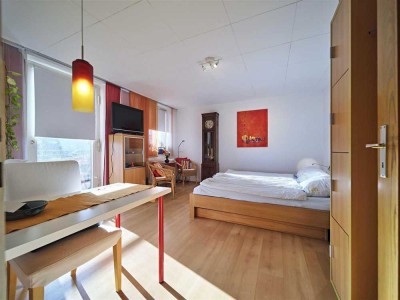 Schönes vollmöbliertes 1-Zimmerapartment im Zentrum Heidenheims mit Schlossblick