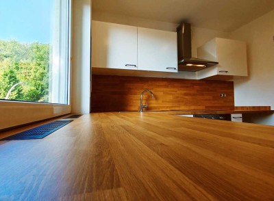 Frisch renovierte 4 Zimmer Wohnung - Erstbezug nach Renovierung