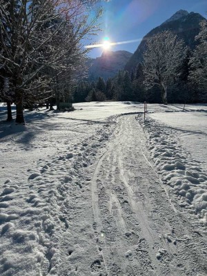freie, renovierte, ruhige und elegante 2,5-Zimmer Wohnung mit Balkon