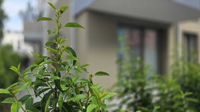 Stillvolle Neubau Stadtwohnung - Möbliert, 2-Zimmer mit Tiefgarage&Terasse&Gartenanteil