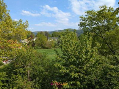 Ihr Domizil in Bad Harzburg: Gut geschnittene Zwei-Zimmer-Wohnung. Auch als FeWo geeignet!