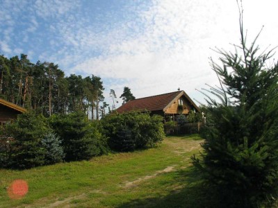 Wohnen mit Pferden, auf Gestüt zwischen Weiden und Wald