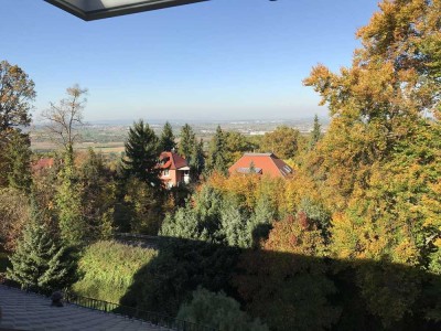 ImmoBillia: "Beste Aussichtslage - Ihr Traumhaus in Gerlingen!"