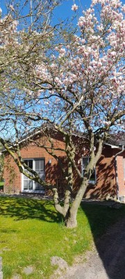 Ebenerdiges Haus mit Garten