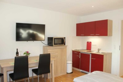 Für Pendler!! Voll ausgestattetes 1-Zimmer-Apartment in Sachsenheim, Kreis Ludwigsburg
