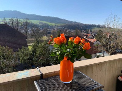 Geschmackvolle 4 Zimmer-Wohnung mit luxuriöser Innenausstattung mit EBK in Merzhausen Freiburg