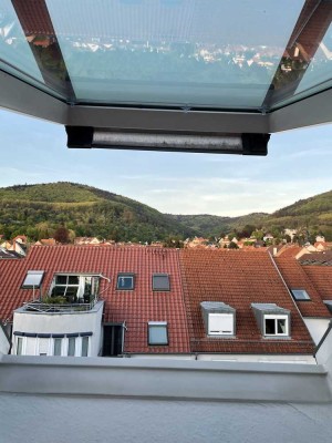 Neuwertige 2-Raum-Wohnung mit Balkon und Einbauküche in Heidelberg