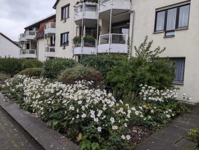 1 Zimmer Apartment in Top Lage direkt am Schlosspark Wiesbaden Biebrich -ohne Maklerkosten-