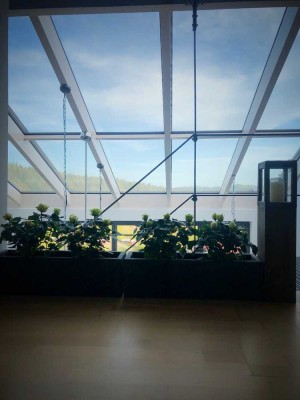 Renovierte 4,5-Zimmer Loft-Wohnung mit Balkon in Wilhelmsfeld