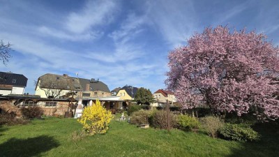 geräumige Doppelhaushälfte in ruhiger Wohngegend