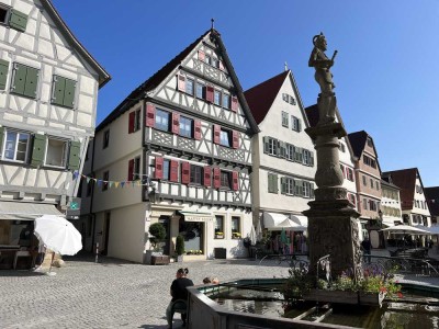 Rarität ! historische 3 Zimmer Wohnung direkt am Markgröninger Marktplatz