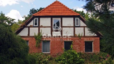 ***charmantes Bauernhaus mit Stall, Scheune und Weide***
