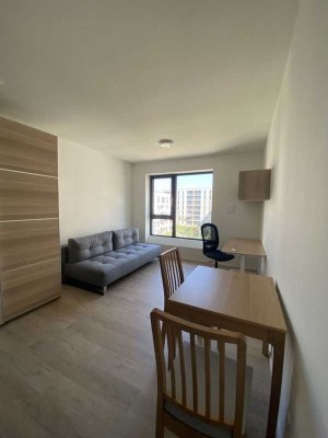 Modern möbliertes 1-Zimmer-Apartment in zentraler Lage von Nürnberg