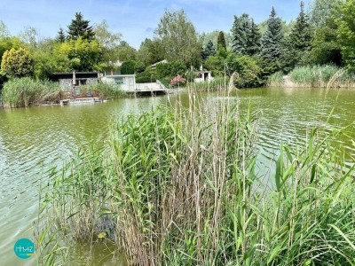 LAKE LIFE! Direkt am See mit Privatzugang! Renovierter Bungalow auf Eigengrund mit Terrasse und Stellplatz! Ganzjährig bewohnbar!