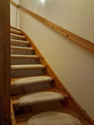 Suche Mitbewohner