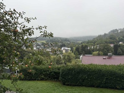 Wohnen im Grünen - 1-Zimmer-Apartment m. EbK.