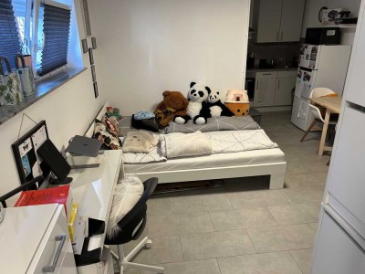 Schöne Ein Zimmer Wohnung in Pliezhausen