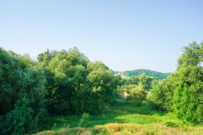 Balkonblick ins Grüne