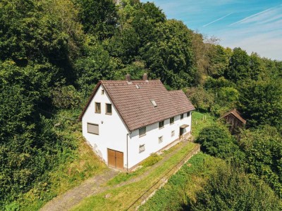 Ein Paradies für Naturliebhaber!
Großes Grundstück mit reichlich Potential!