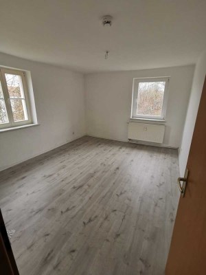Schöne Attraktive 3-Zimmer-Wohnung in Lauchhammer mit Balkon und neuem Laminat