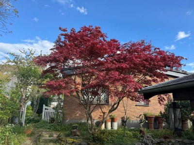 Freistehendes EINFAMILIENHAUS für Gartenliebhaber in Leverkusen Rheindorf