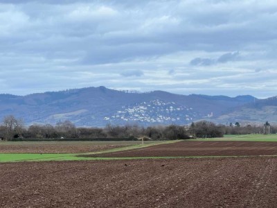 Die Lage macht den Unterschied -  4 Familienhaus -