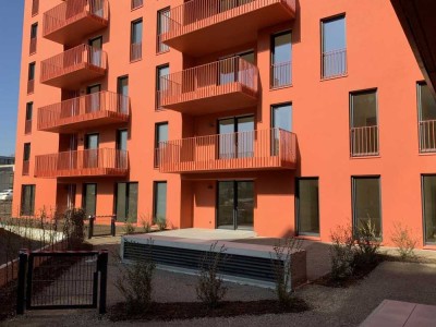 1-Zimmer-Wohnung in Bonn Endenich - offene Besichtigung Mittwochs 10-14.00 Uhr