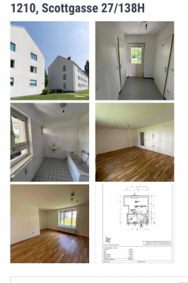 Helle &amp; ruhige Gemeindewohnung (1 Zimmer) in 1210 Wien – EG – Ablöse 2.700 € VB