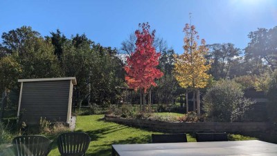 Die perfekte 136qm, 4Zimmer Maisonette ETW, 2 Bäder, TG, Süd-Terrasse, 230qm Garten, Wald-+Fernblick